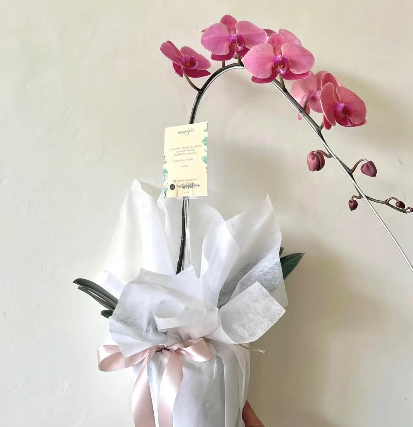 Flower Vase Orchid
